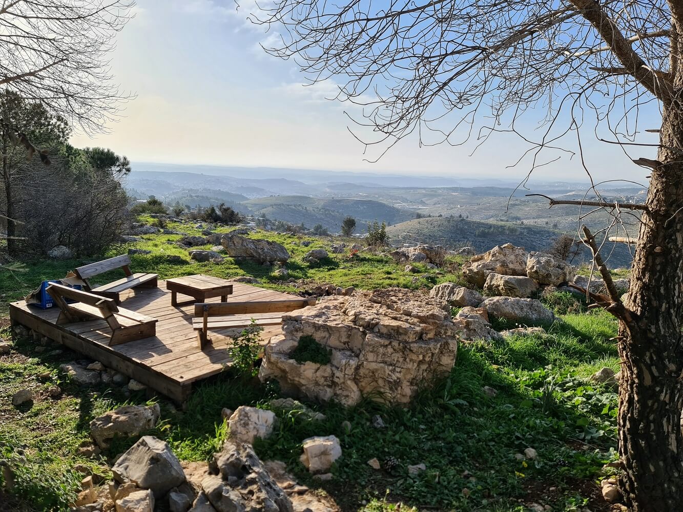 photo by YAIR ARONSHTAM