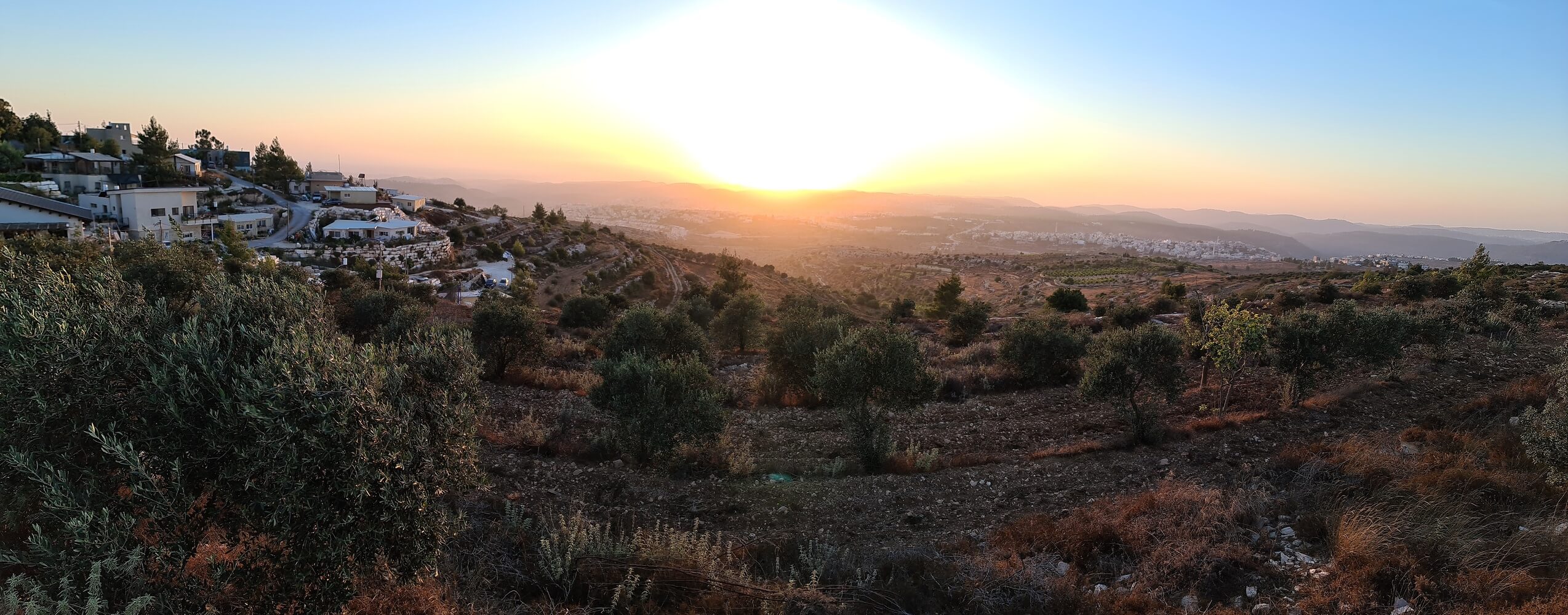 photo by YAIR ARONSHTAM